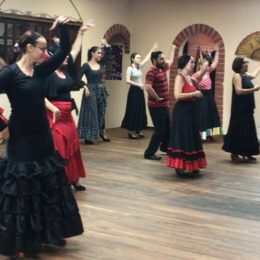 Danza Flamenca para Todos